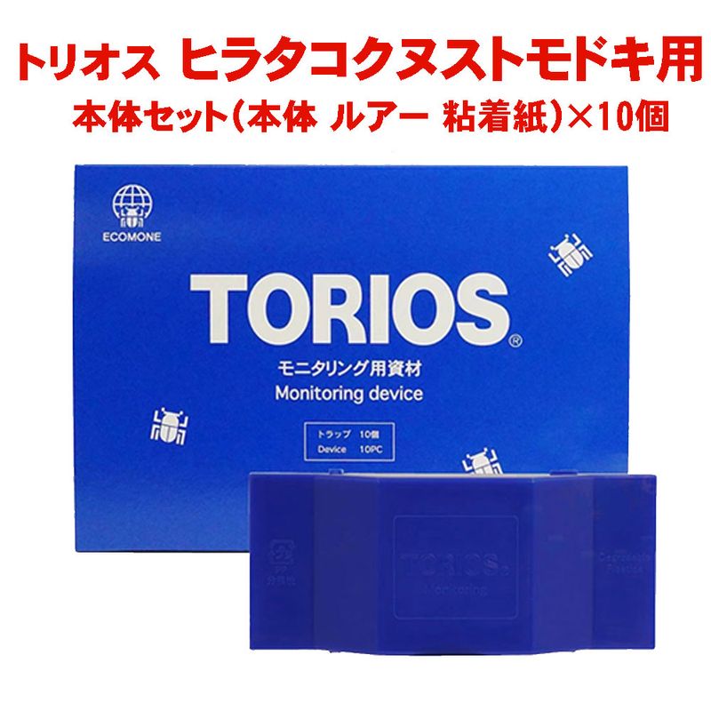 ƤˤĤ ȥꥪ ҥ饿̥ȥɥ 10å  ҥ饿̥ȥɥ Ͷ  ե ȥå