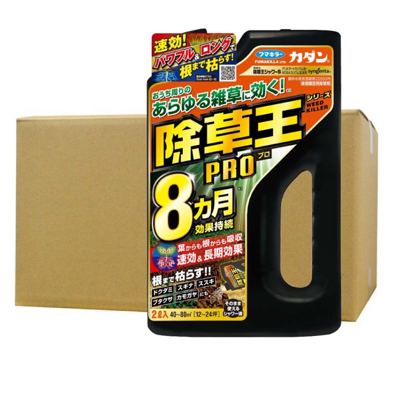 ����� ������ ���𲦥���S 2L��8�� ���� �եޥ��顼