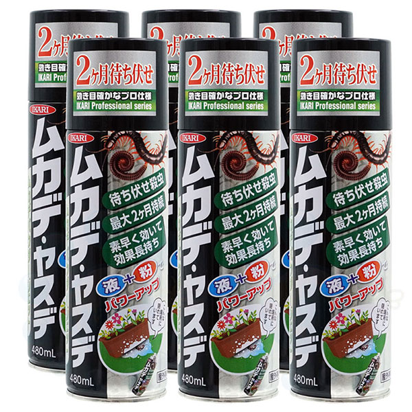 ��������� �५�ǥѥ����������å� 480ml��6�� �䥹�� ���󥴥ॷ ���� ��饸�ॷ ����