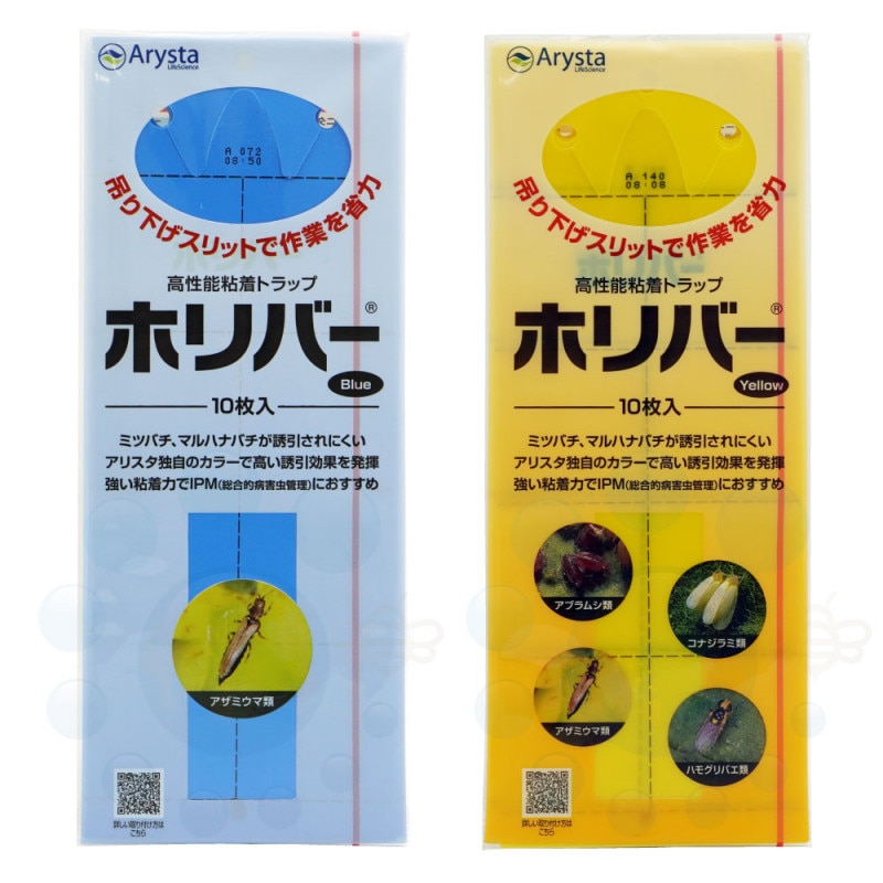 ����ǽǴ��ȥ�å� �ۥ�С��������� �֥롼���å� ��10�� �椦�ѥ��å��б�