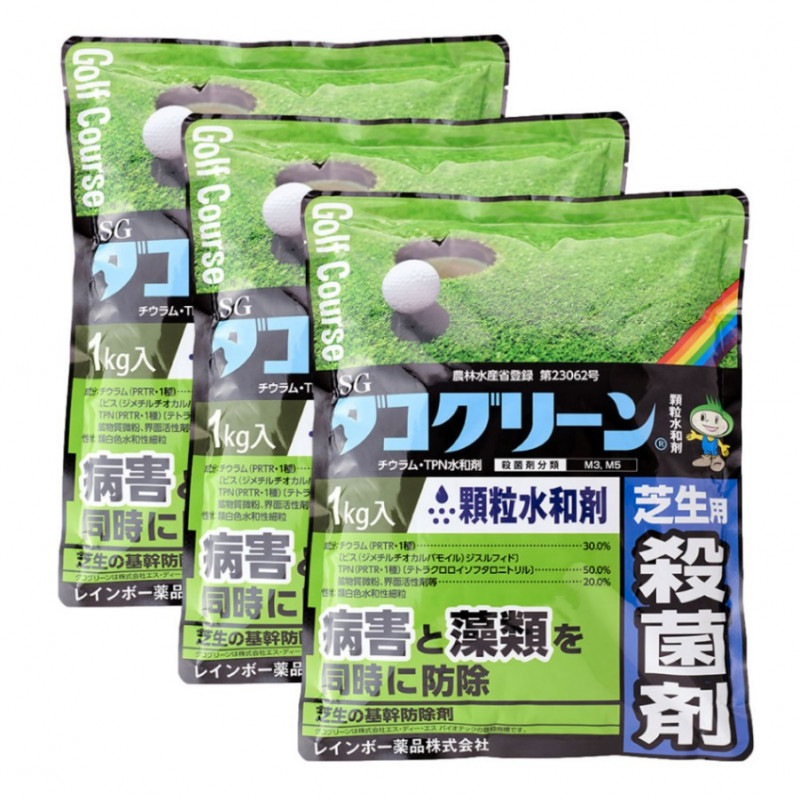 ѻݺ SG ꡼ γº 1kg3  ݺ ܼ 餤 μ ٥ȥ饹 ֥롼饹 ³  