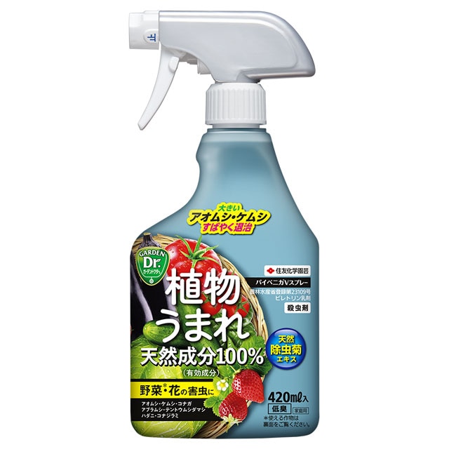 天然物化学 - 植物編 - 陸上植物の共通祖先で獲得された幹細胞形成メカニズム