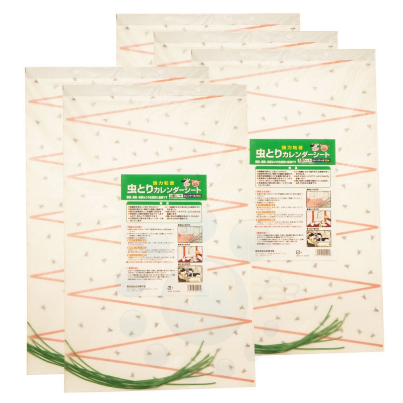 �緿�ϥ����� ��Ȥꥫ������������ 10������5���å� �ϥ���� ���� ���� �ܷܾ�