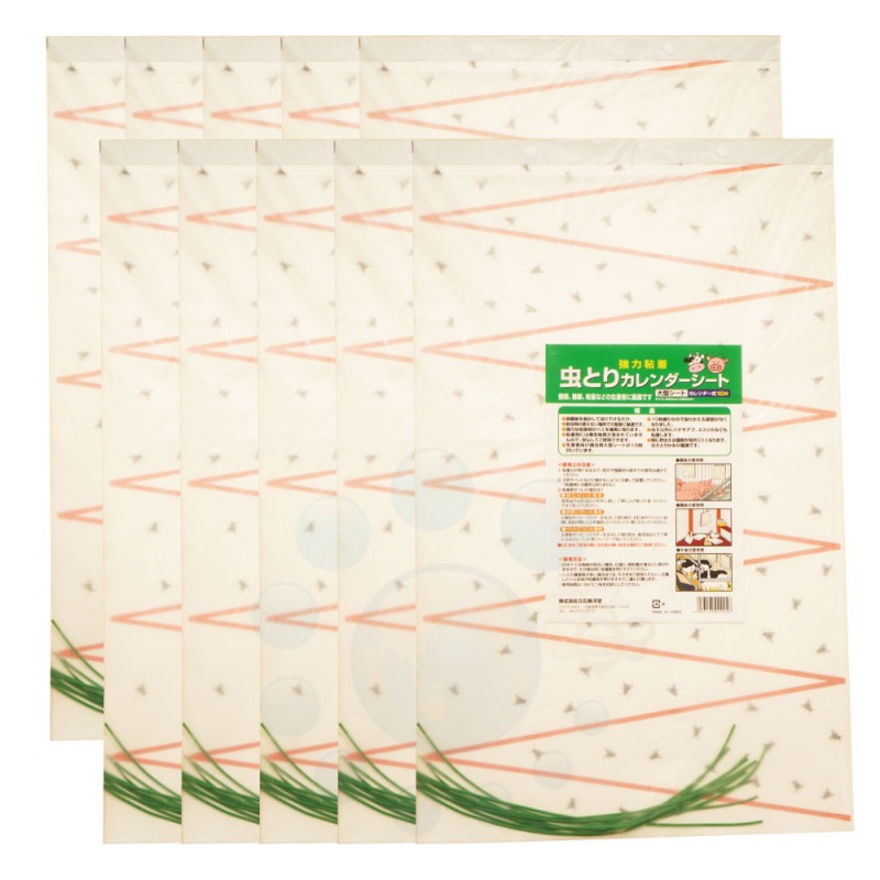 �緿�ϥ����� ��Ȥꥫ������������ 10������10���å� �ϥ���� ���� ���� �ܷܾ�