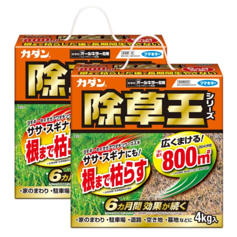    륭顼γ 4kg2Ȣ     ͽ  եޥ顼