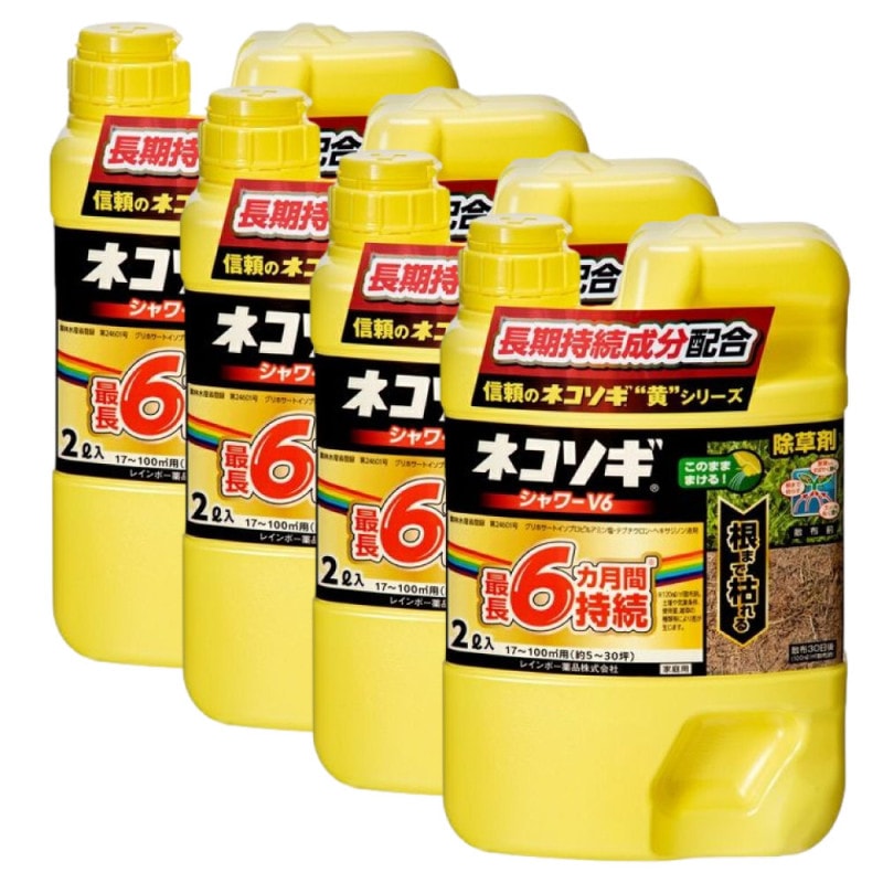  ͥV6 2L4      Ϥ餹 ͽ  쥤ܡ