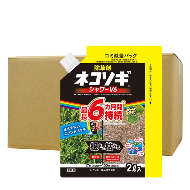 ����� �ͥ���������V6 �����ѥ��� 2L��8�� ���� ���� ����� ���� �� �Ϥ餹 ͽ�� ���� �쥤��ܡ�����