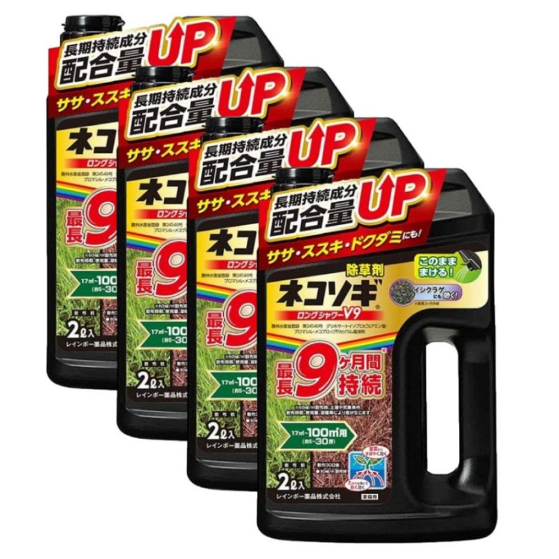  ͥ󥰥V9 2L4      Ϥ餹 ͽ  쥤ܡ