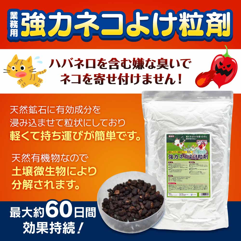 ��̳�� ���ϥͥ��褱γ�� 5L��3�� ����ǭ ʵǢ �ﳲ �к�