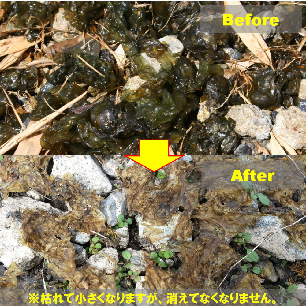 �������饲����� ���������� �������饲�� ��̳��ǻ�̱� 2L ���������� �� ��־�