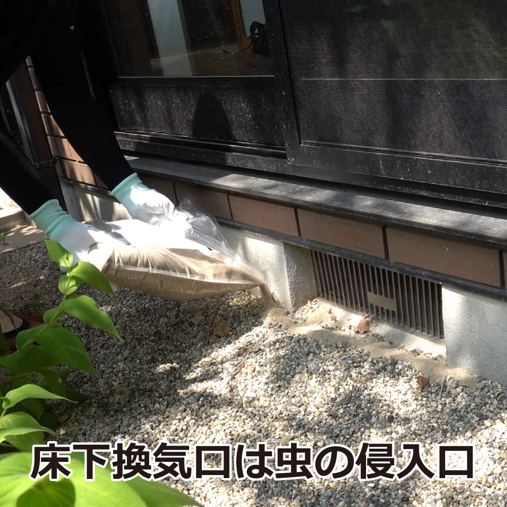 ꡼󥷥åB 3kg4 ץѻγ