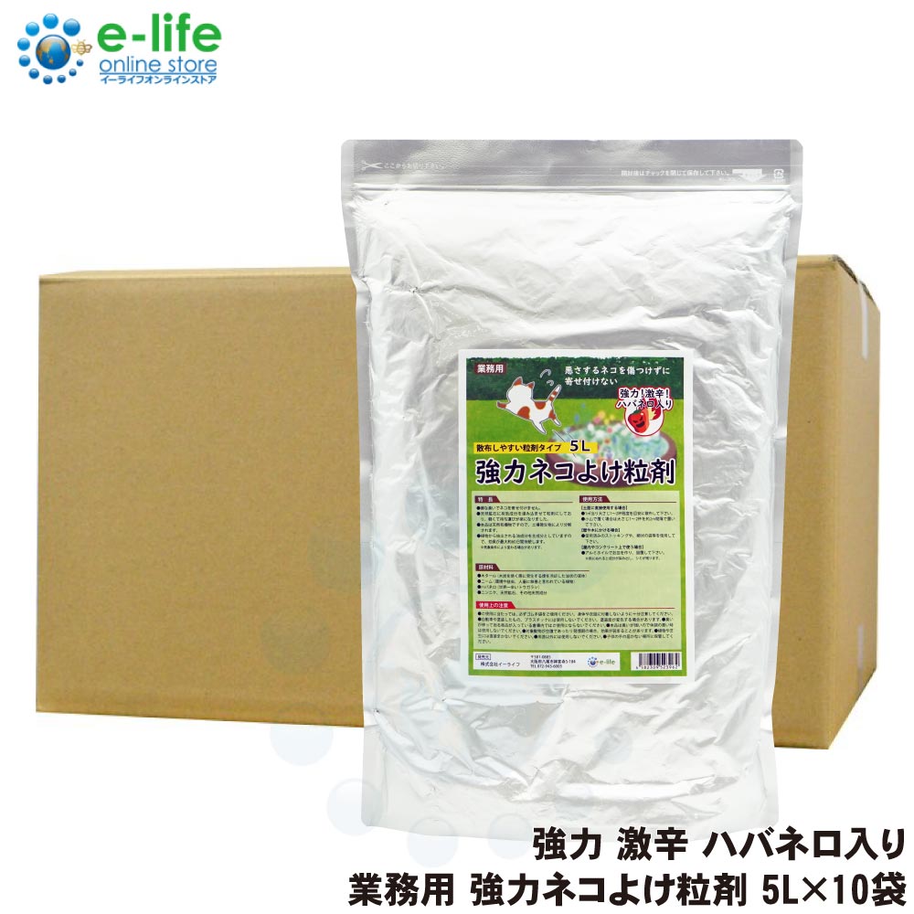 ͥ褱 ǭк ̳ ϥͥ褱γ 5L10 õʡ ǭ к 