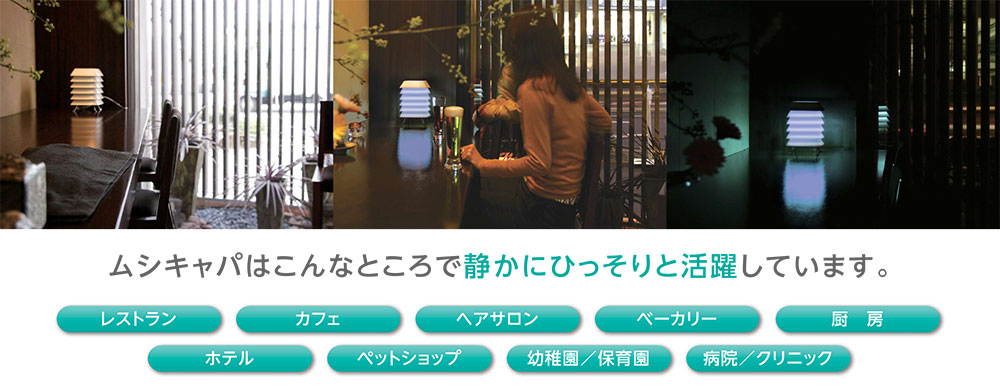 LED���׺��ѤǾʥ��� Ĺ��̿ ��ǽŪ�Ǥ������������ LED����� �ॷ����� MSC-002 ���֤� �٥�ϡ� ���ե� �쥹�ȥ�� �١����꡼