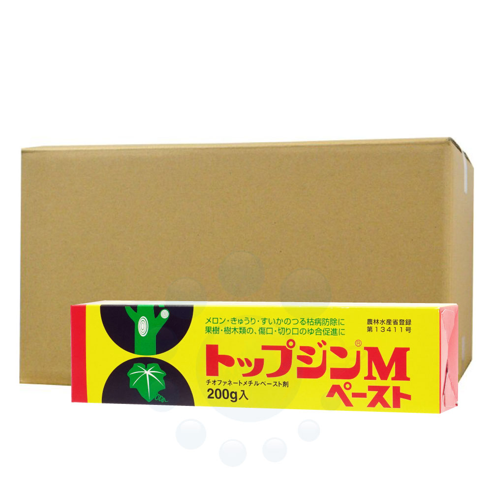 �ȥåץ���M�ڡ����� 200g��50�� ��������