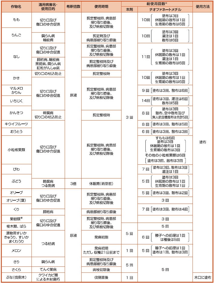 �ȥåץ���M�ڡ����� 200g��50�� ��������