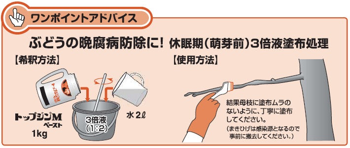 �ȥåץ���M�ڡ����� 200g��50�� ��������