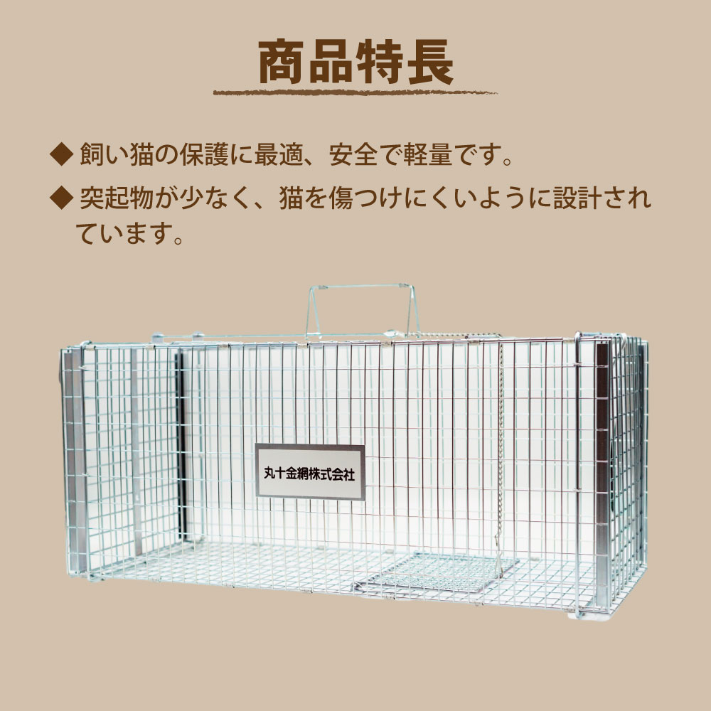 ˥ޥ륭å㡼 ǭݸ Ƨļͥʹ