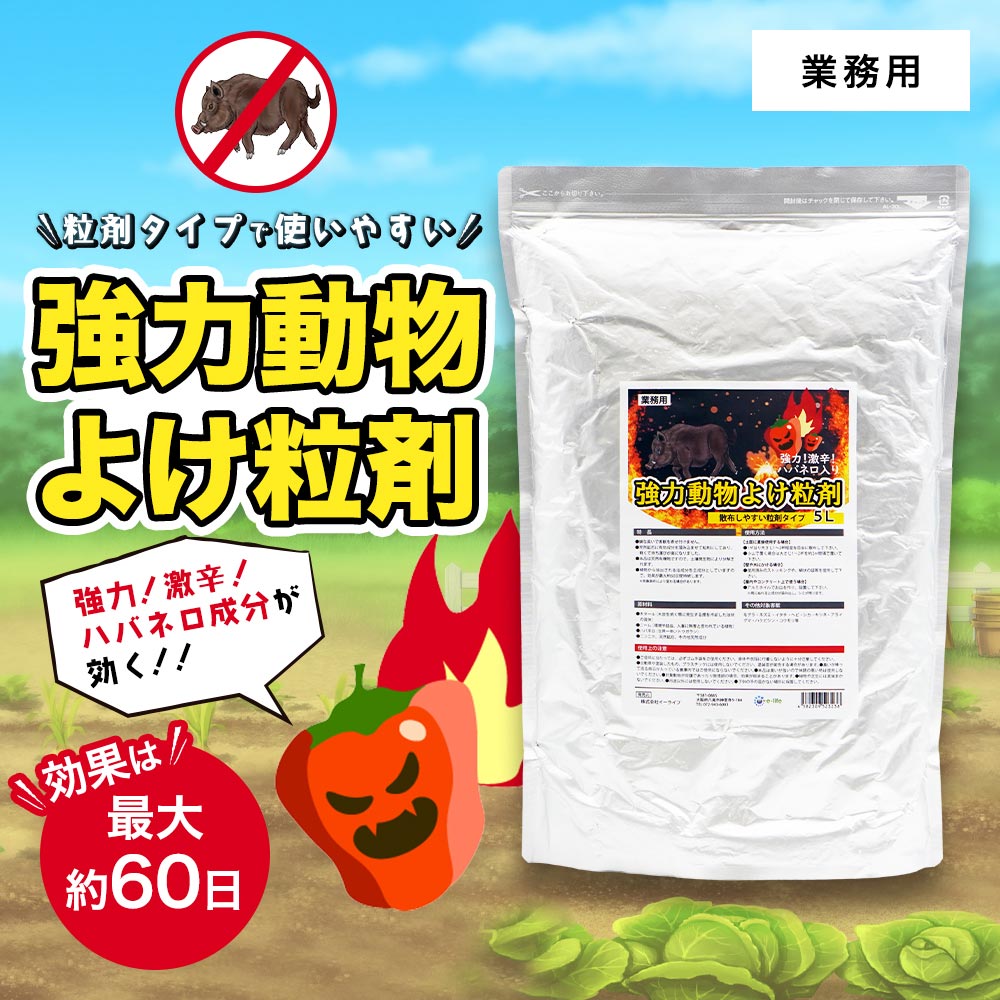 褱 褱 ̳ ưʪ褱γ 5L3 Υ кõʡ