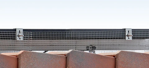 ۸ѥͥĻк Сɥ֥å 饤ɶ [Ѷξ̥ơ]