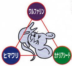 ʴA 1kg ǥȥ٥ å ɽѰʡ ͥ  ͺ