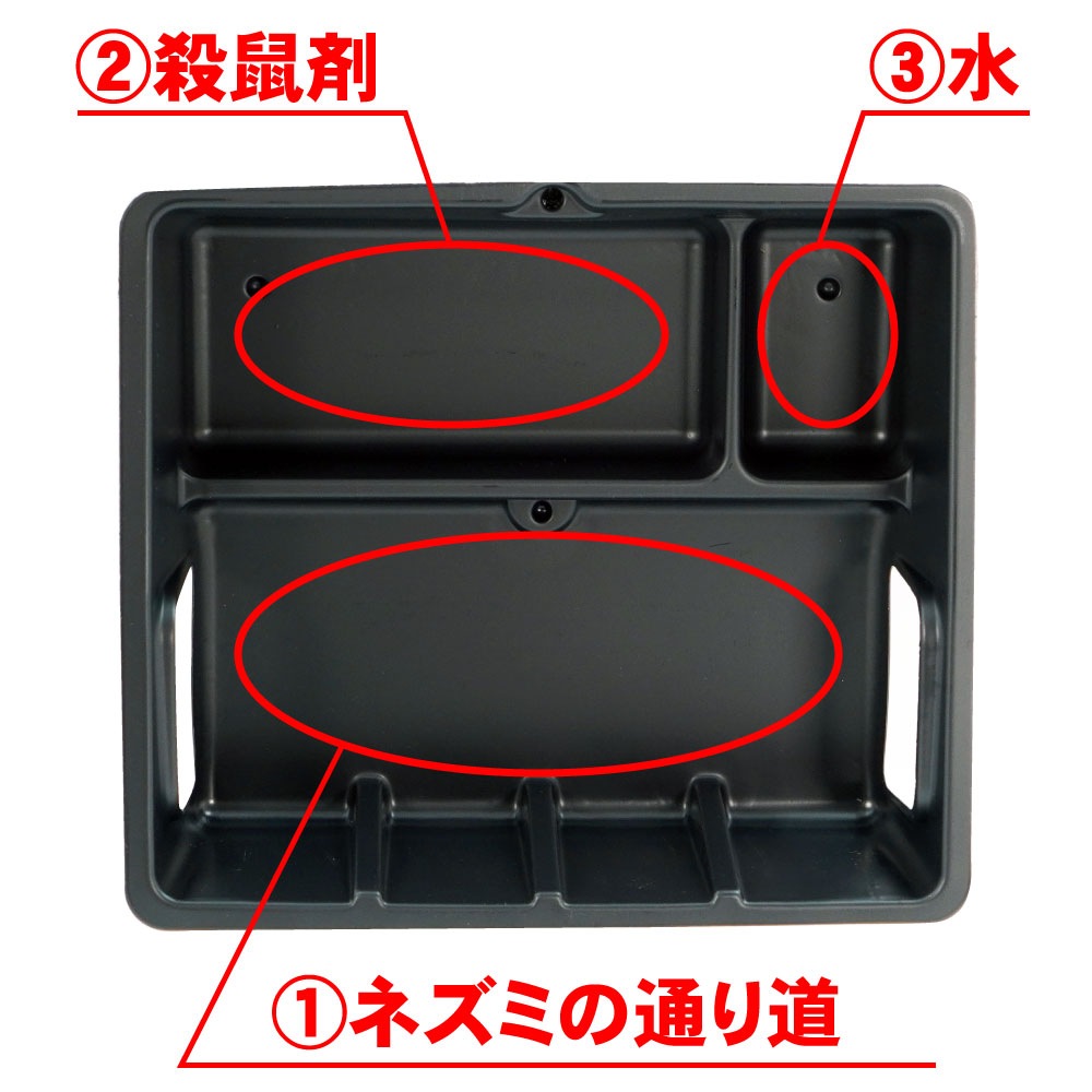 ʴA 1kg ǥȥ٥ å ɽѰʡ ͥ  ͺ