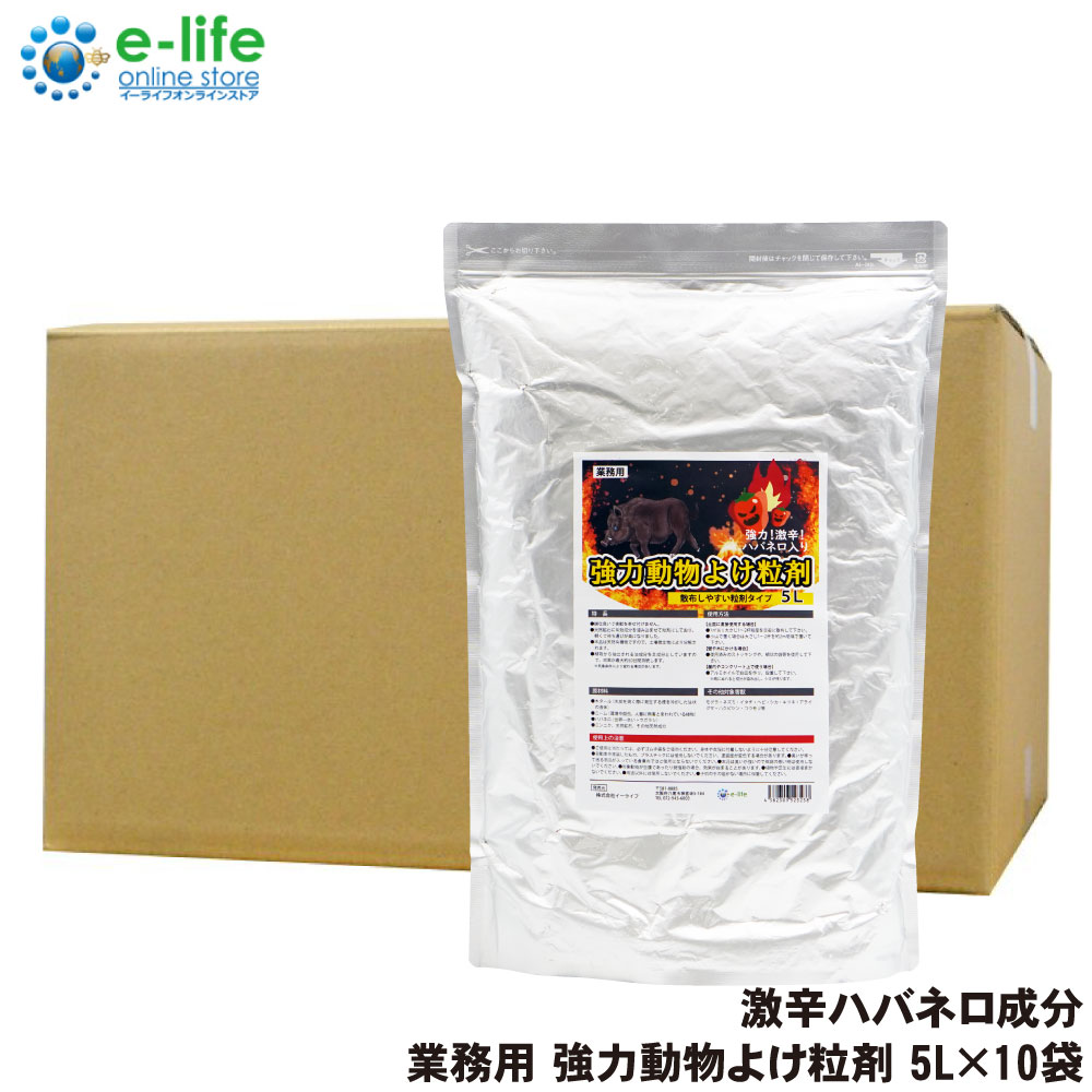 褱 褱 ̳ ưʪ褱γ 5L10 Υ кõʡ