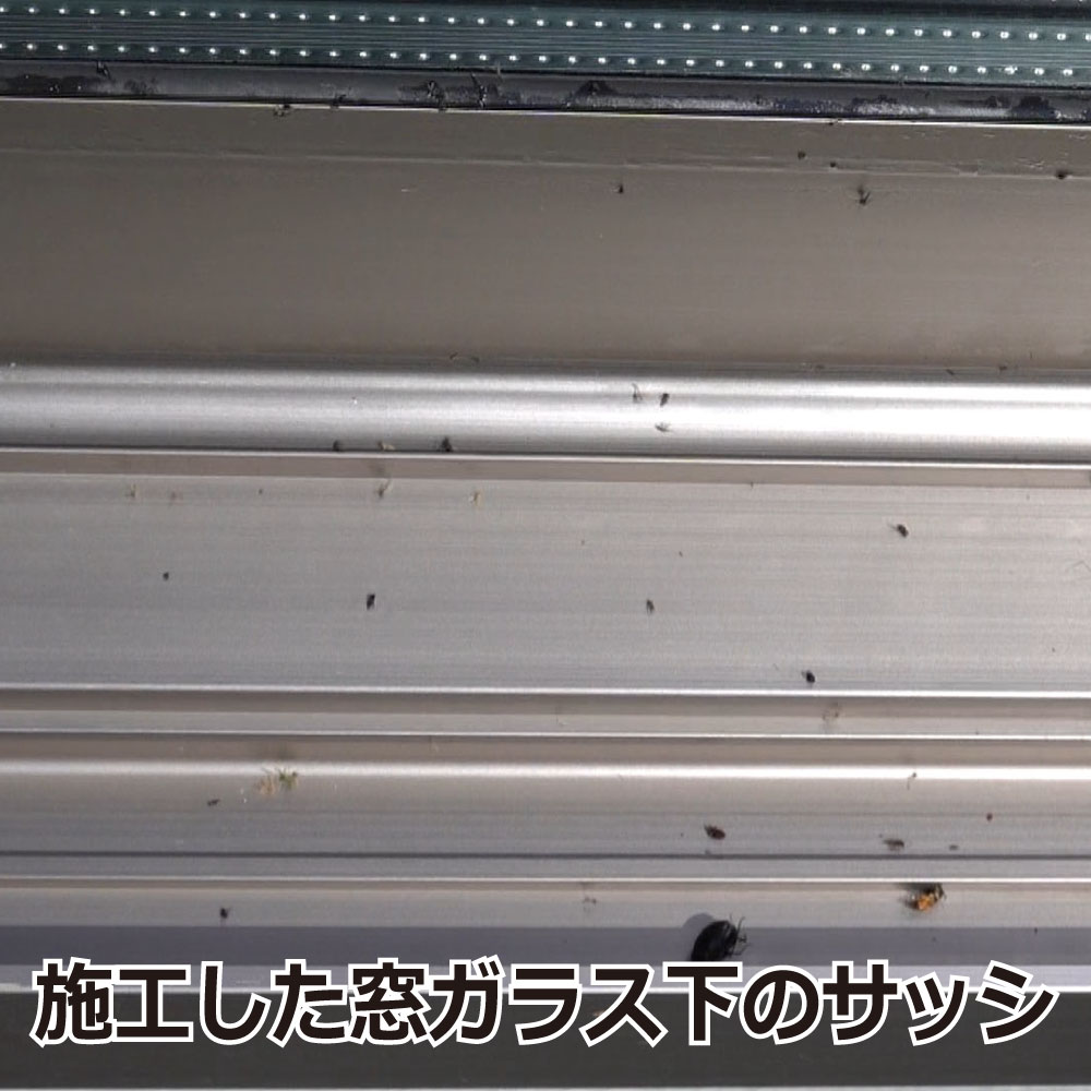 ��3���㤨����̵����PG������ 450ml��3�� ���Х� �楹�ꥫ ����ॷ����դ��ʤ��륬�饹���ѻ����