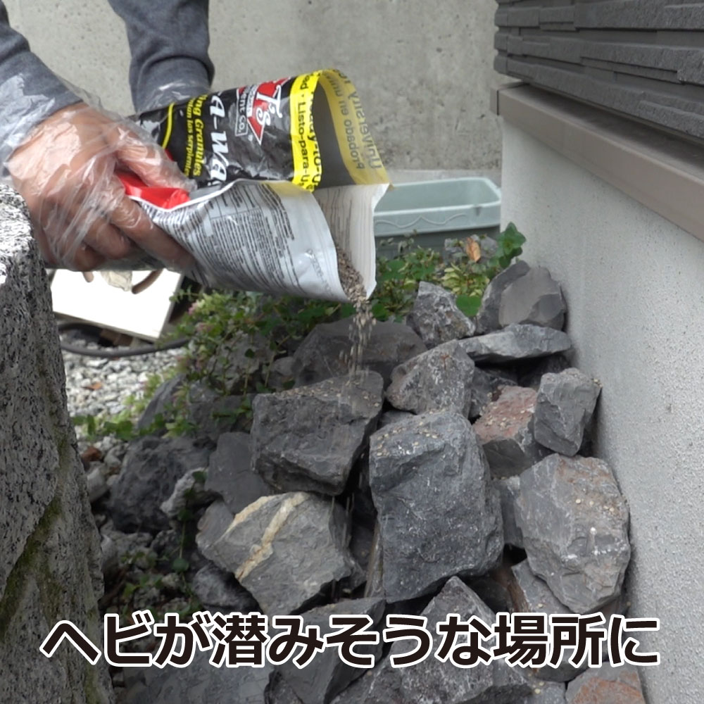 ���͡����������� 1.8kg��3�� �ڼءʥإӡ� ����ޡ�