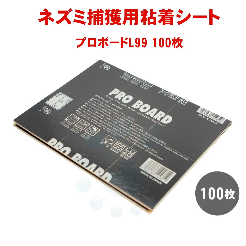 �ץ��ܡ���L99 100�� Ķ�ѿ����� �ͥ��߶���� ��̳�� Ǵ�奷���� �ͥ����к�