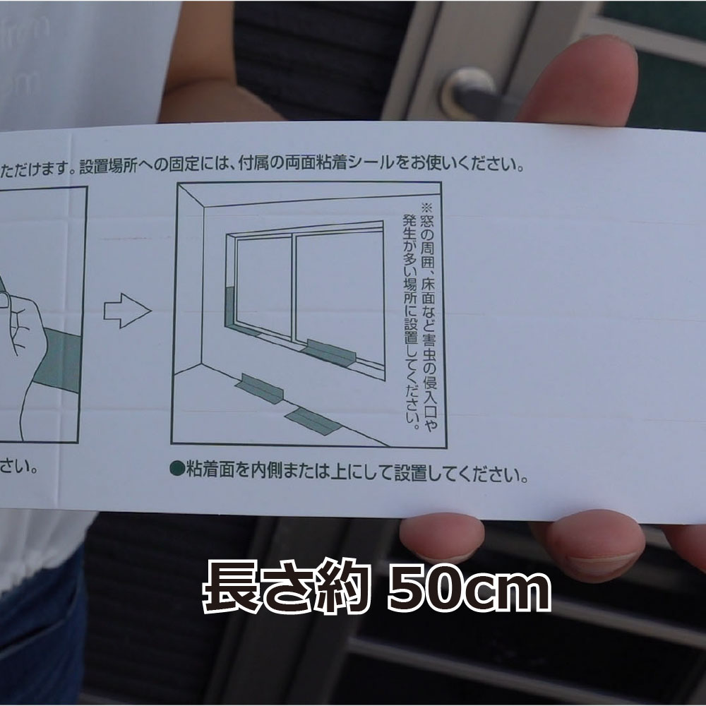 ॷɻ ५ǿɻ ५ ॷǴ奷 50