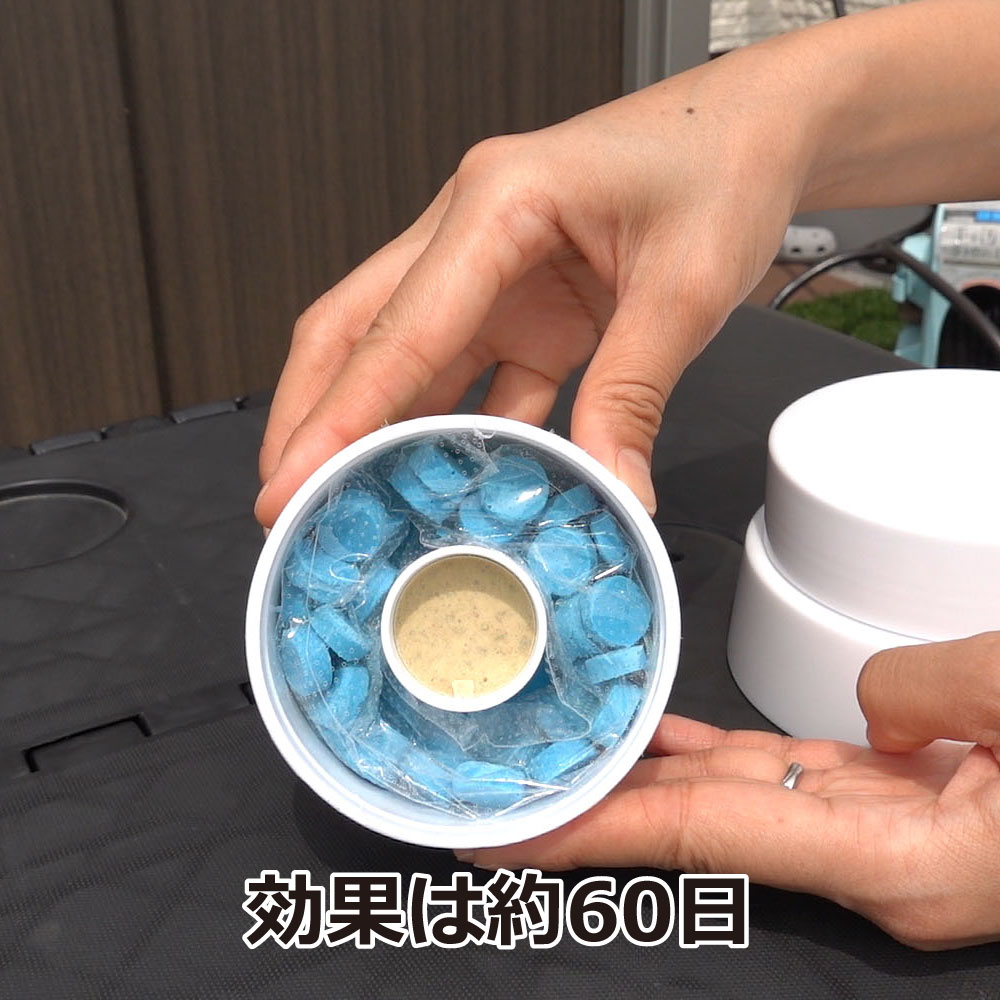 �५���к� ��ư�ե����դ��५�Ǥ���դ��ʤ�W�ѥ 200g��24��/������