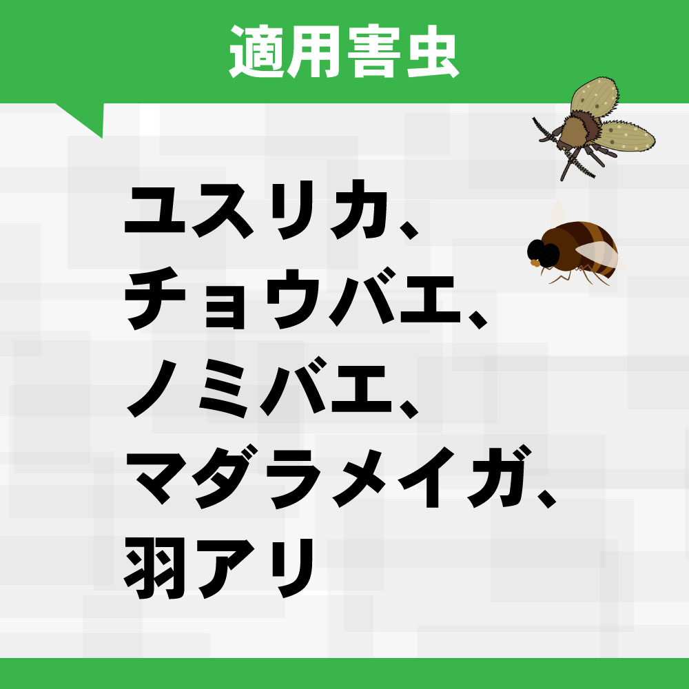 �楹�ꥫ ���祦�Х� �������� ��̳�ѥϥ˥�������ե���AC ���賲���� �Բ����� �����ɻ�