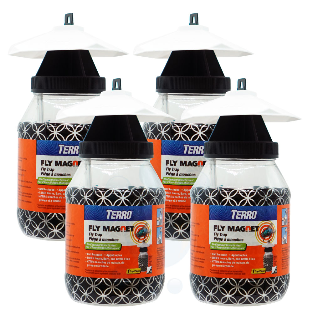 ե饤ޥͥå Ͷ1դ4å ϥ Х Х ХͶʹ