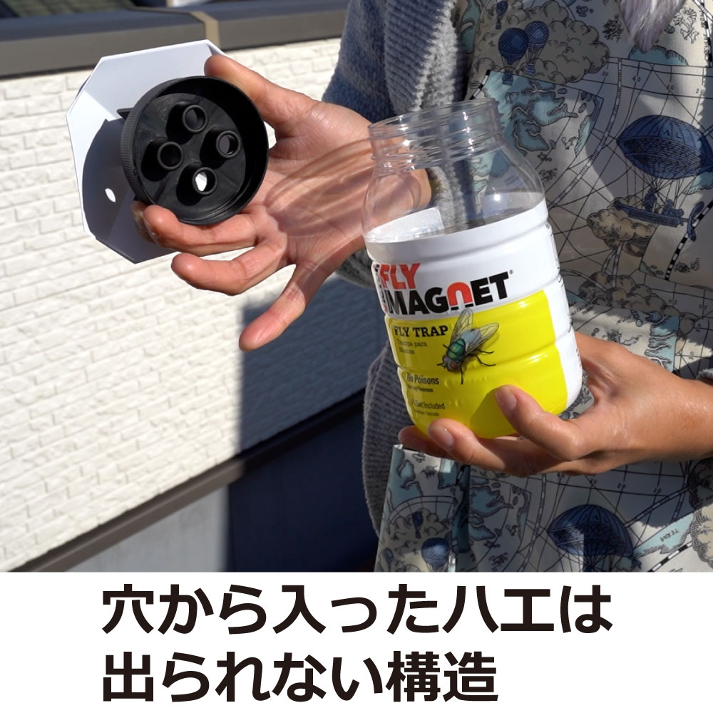 ե饤ޥͥå Ͷ1դ4å ϥ Х Х ХͶʹ