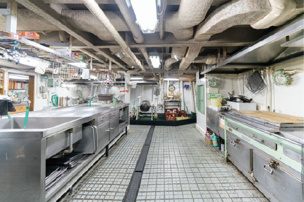 Ͷ luics 륤 H LED ߤ겼 ɳݤ LC-H01  LED ˼  ¤饤 աɥ