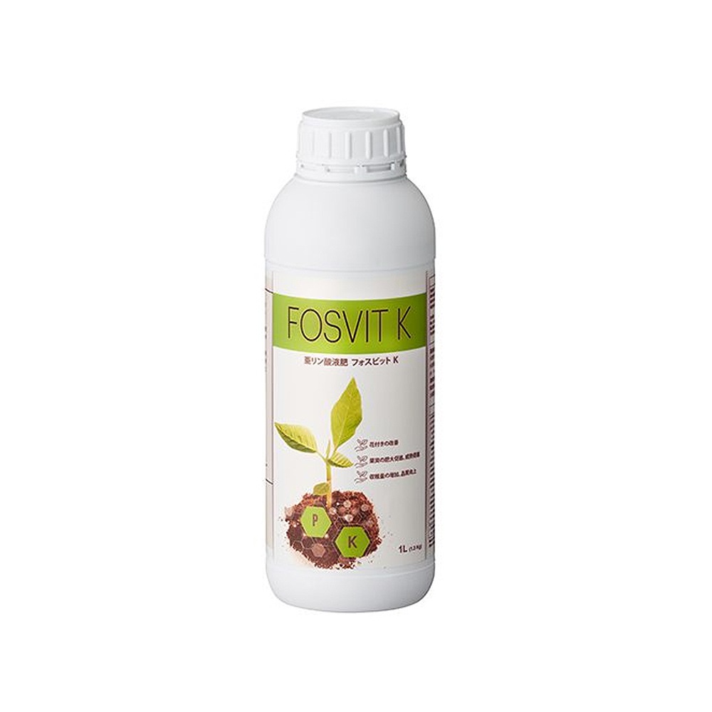 եӥåK 1L  ʪ ĥ ¥ ϥݥͥå