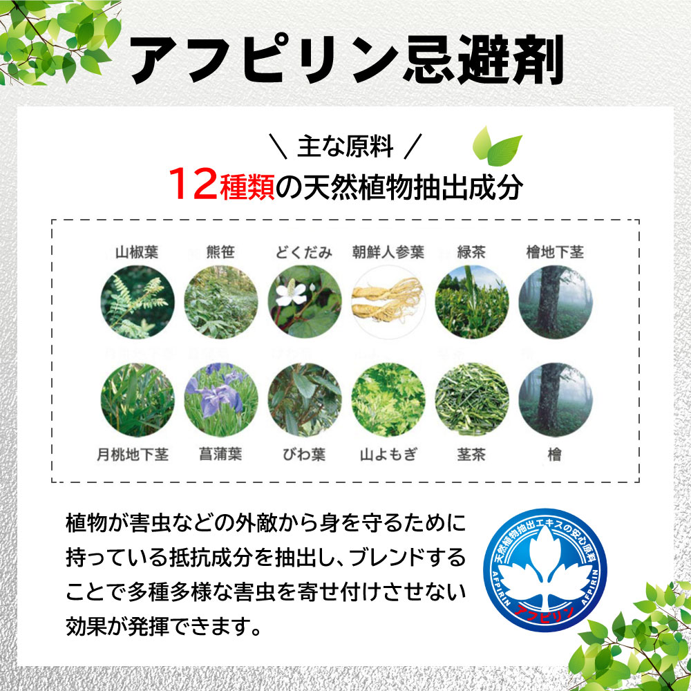 ����å����ϥ५�ǥ��� 300g��12�� �Բ����� �५����