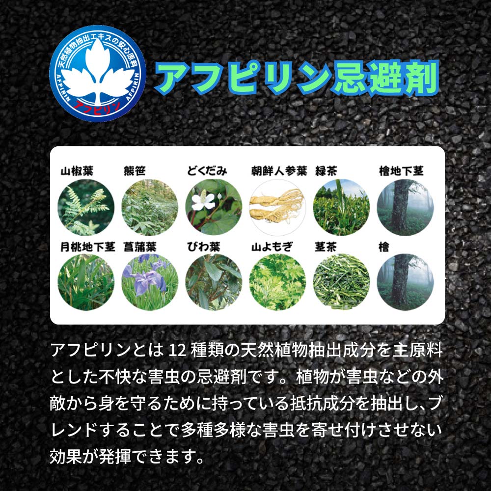 åϥ५ǥ 300g12 Բ ५