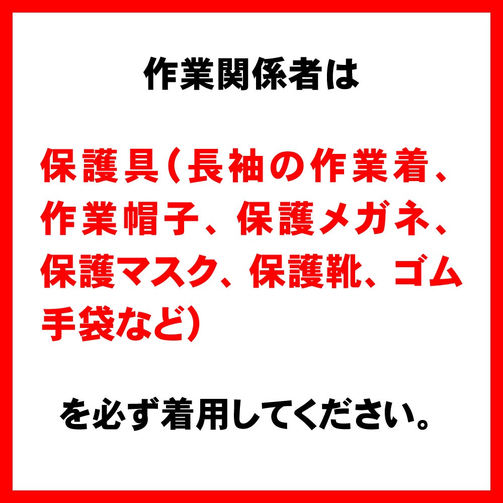 ȥ߶ ֥ ե SES 500ml5 2ʡ  ֥ ȥ ϥ    ʳȼѡ