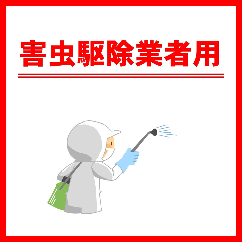 ȥ߶ ֥ ե SES 500ml5 2ʡ  ֥ ȥ ϥ    ʳȼѡ