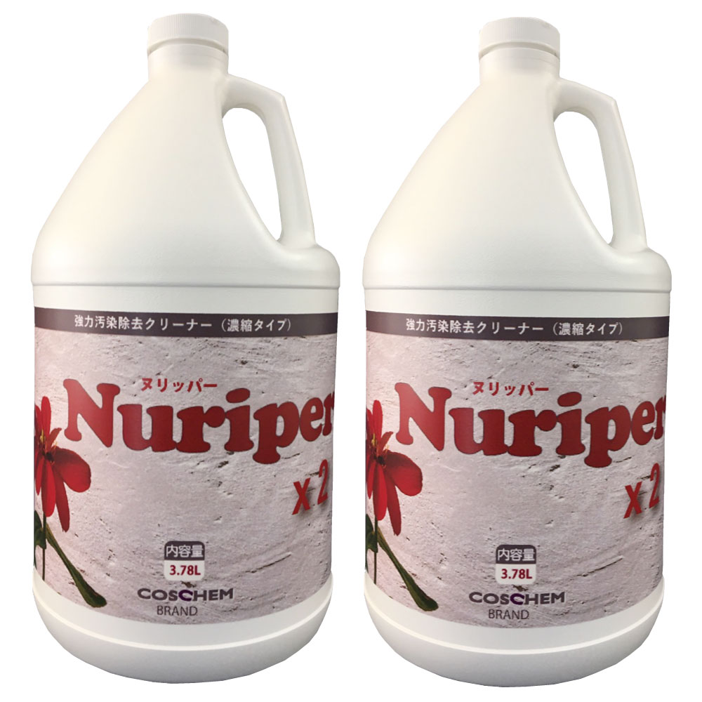 ���ϱ�������꡼�ʡ� �̥�åѡ���2 �Х��ġ� 3.78L��2�� ǻ�̥�����