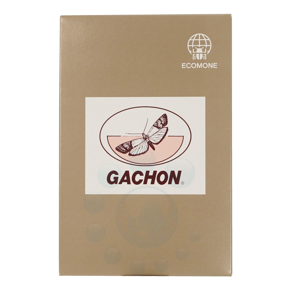 եȥå  ޥᥤ ˥ѥեȥå   Ф 