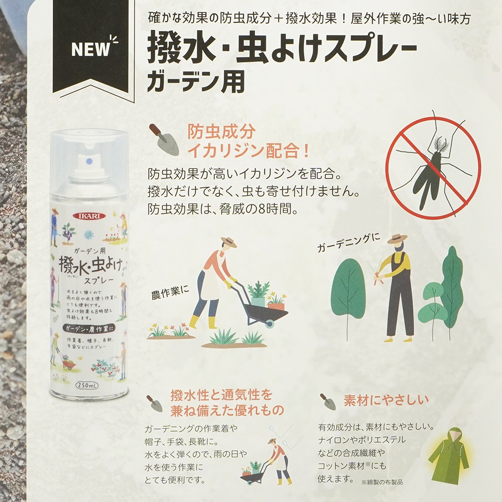   ǥ 褱ץ졼 250ml3  ꥸ۹