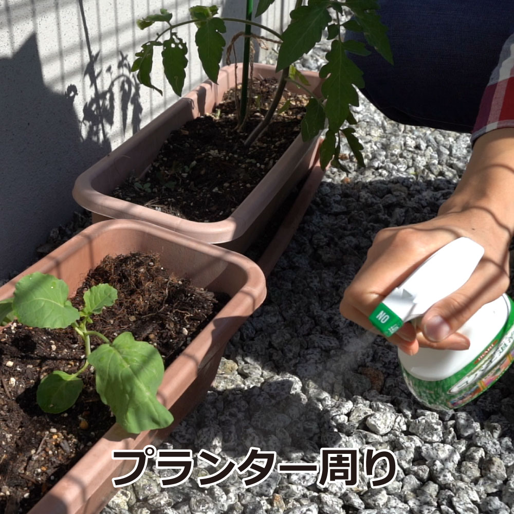 �ॷ����� ���Х��ѥ��ץ졼 400ml