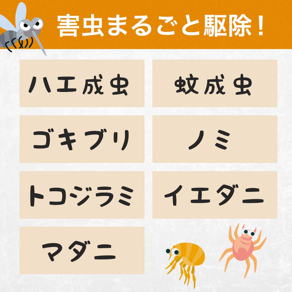 Ļ ULVS 1L5  ɽѻ 2ʡ  ϥ  ֥ Υ ʥ󥭥ॷ 