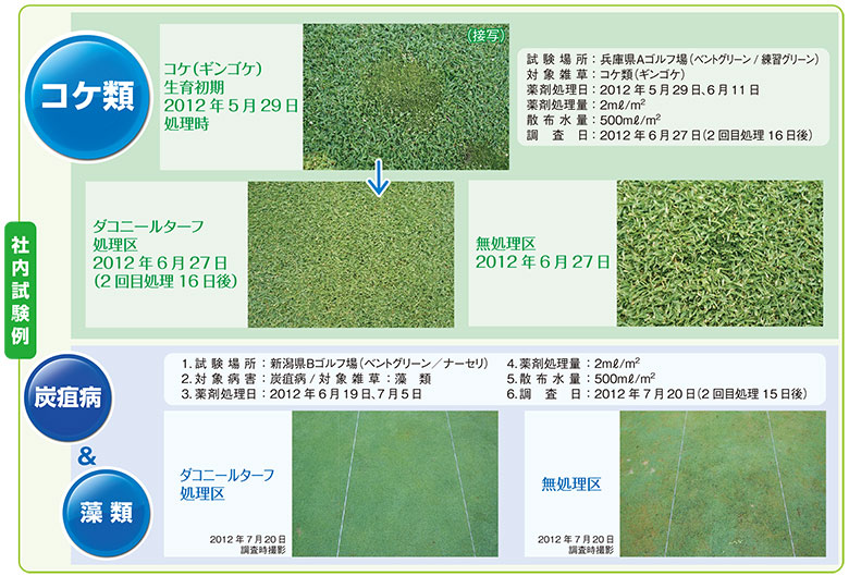 �����ѻ��ݺ� �����ˡ��륿���եե����֥� 1000ml TPN���º� ���� ���ݺ� ���ܼ� �����餤���� ���μ� �٥�ȥ��饹 �³� ���� ������ ����