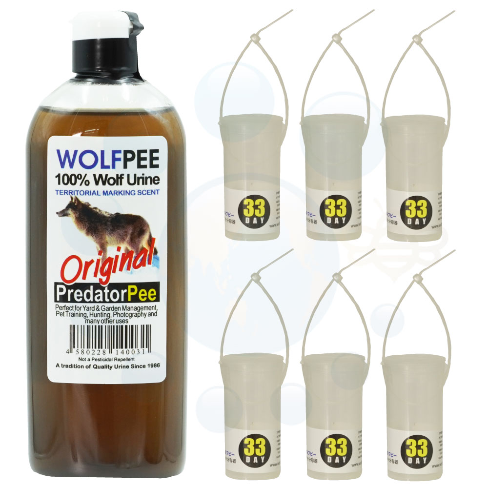  եԡ 340mlѥǥڥ󥵡 6 å ޤ褱  Υ ﳲ к