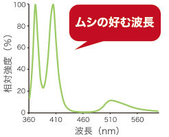 Ͷ luics 륤 C LED ѥȥ LC-C01 ۥ磻 LED ե ե ӥ ١꡼