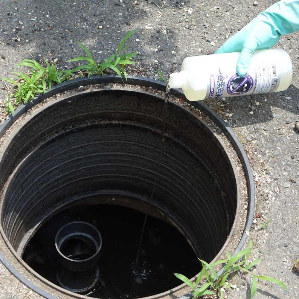 �����ޥ���������� �����ޥ��顼 1kg��3�� ������ �����ޥ��� �к�