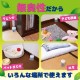 KINCHO  ˥ʡ ӡ 60 ̵ 170g3 ˤ褱 ֤ 